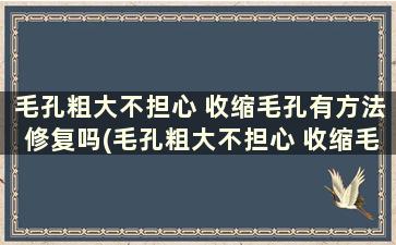 毛孔粗大不担心 收缩毛孔有方法修复吗(毛孔粗大不担心 收缩毛孔有方法治疗吗)